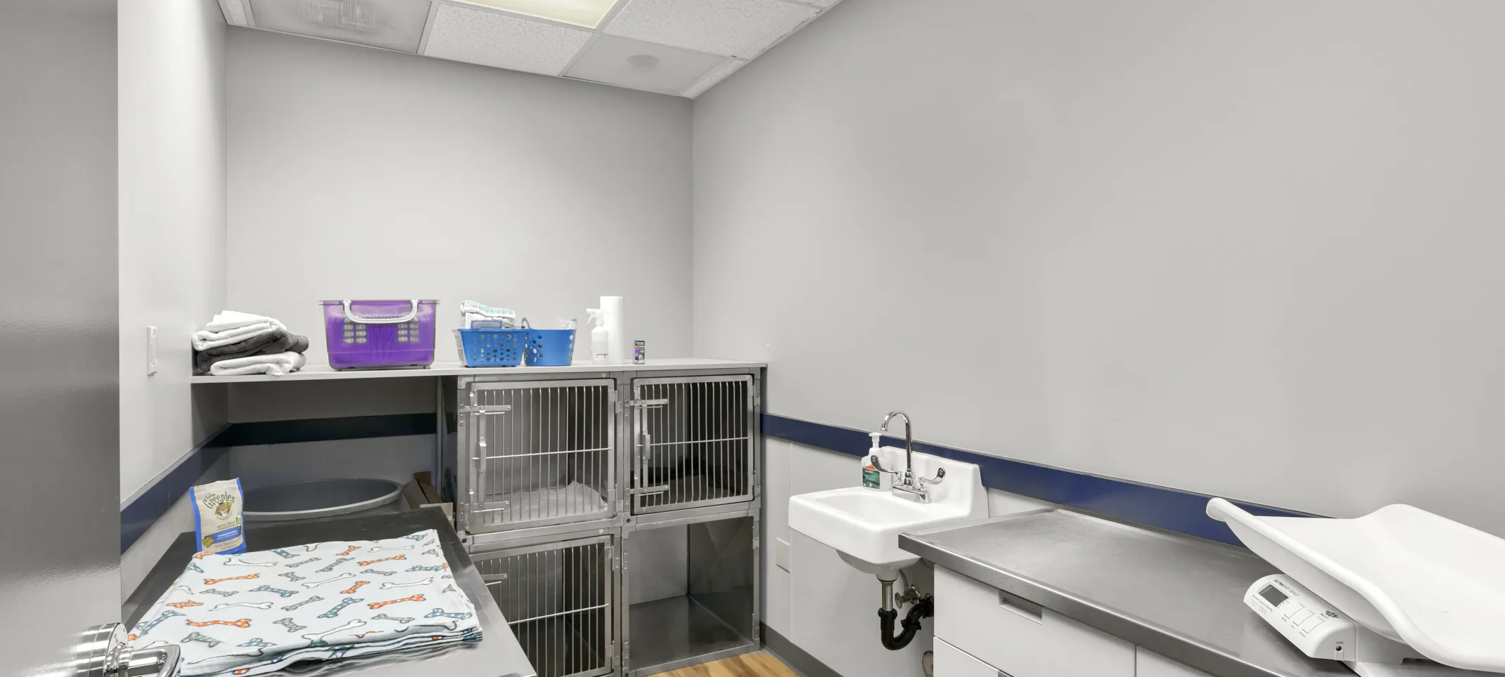 A Back Office with Kennels at Tigard Animal Hospital